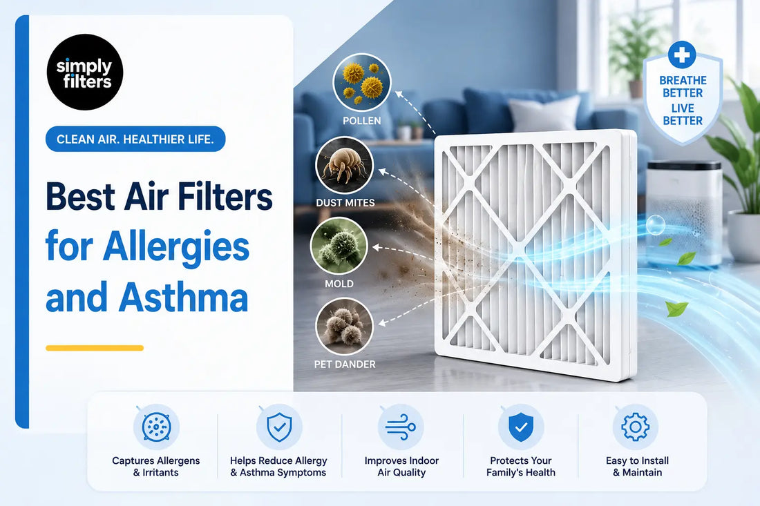 Best Air Filters for Allergies and Asthma