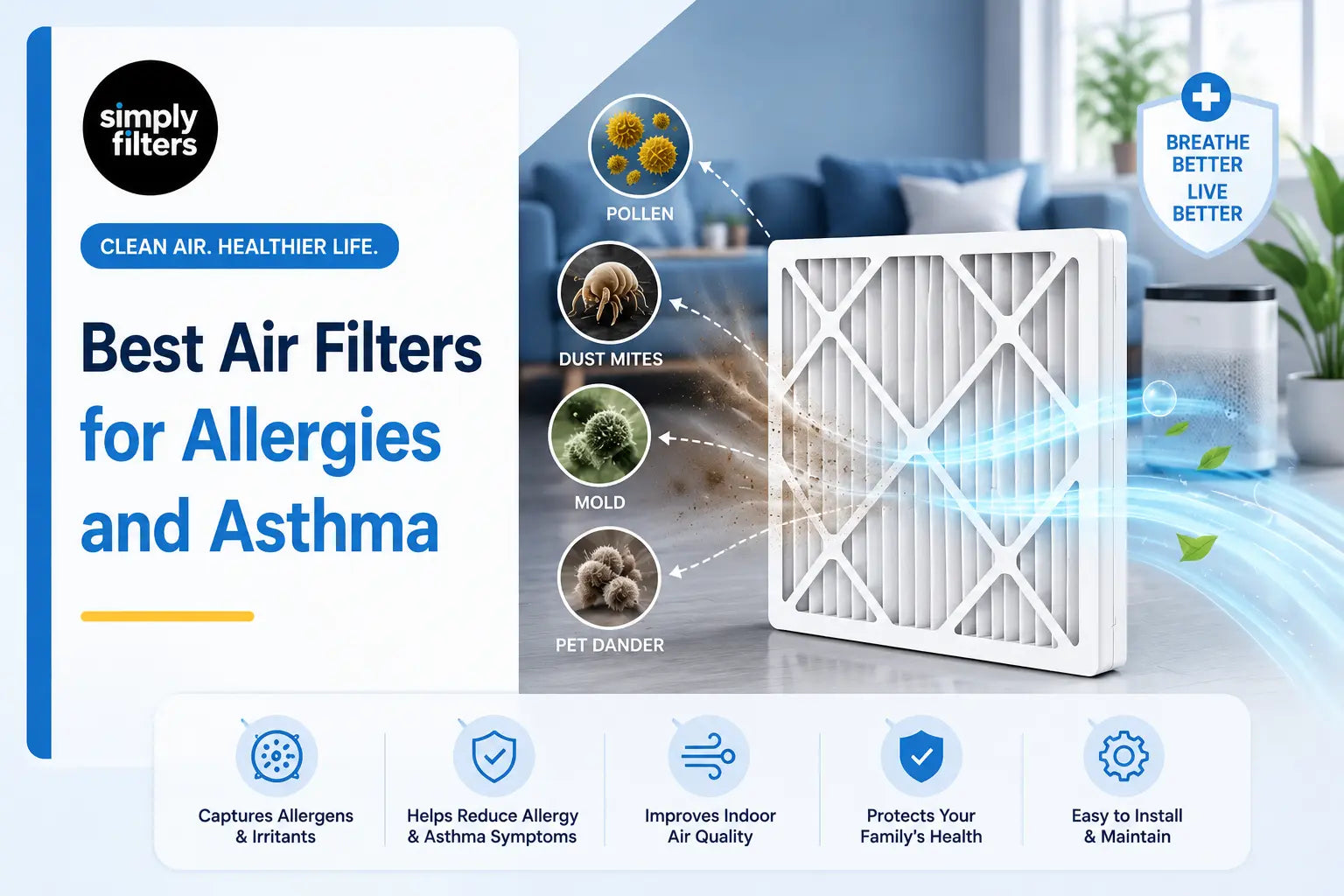 Best Air Filters for Allergies and Asthma