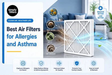 Best Air Filters for Allergies and Asthma