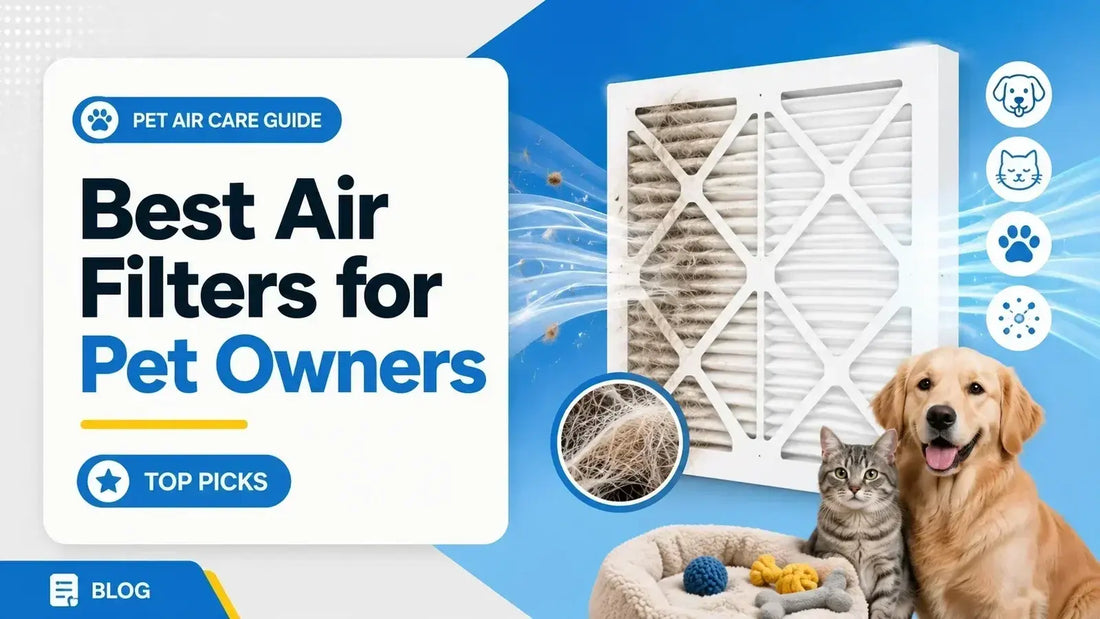 Best Air Filters for Pet Owners