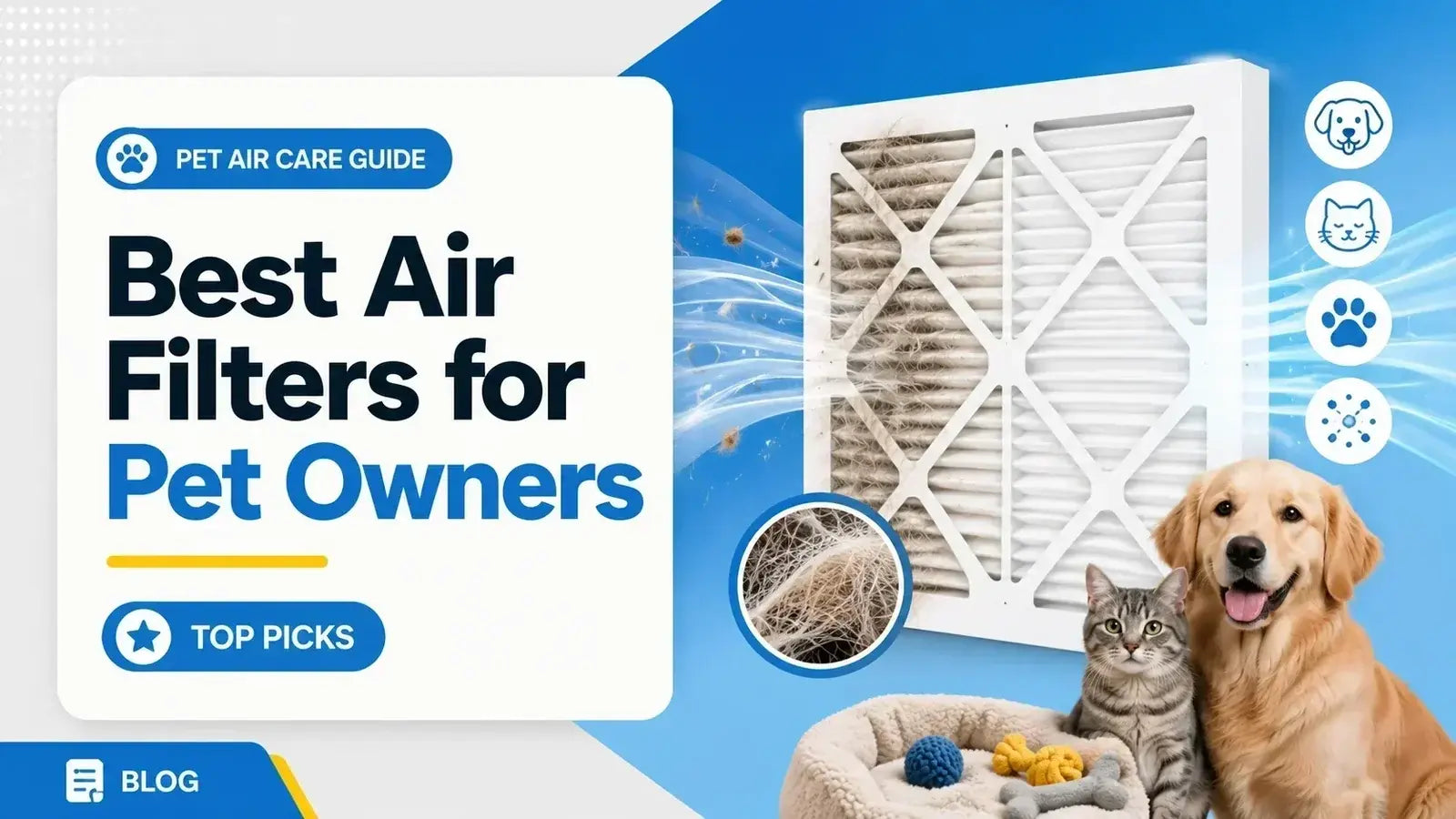 Best Air Filters for Pet Owners