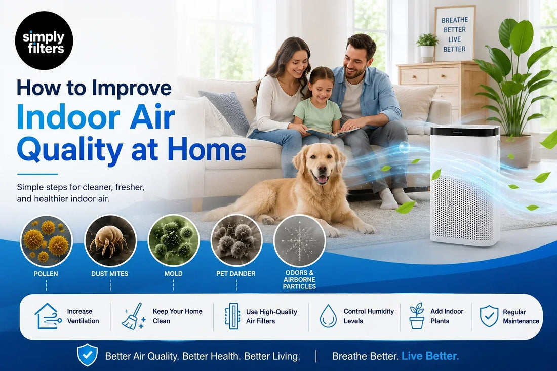 How to Improve Indoor Air Quality at Home