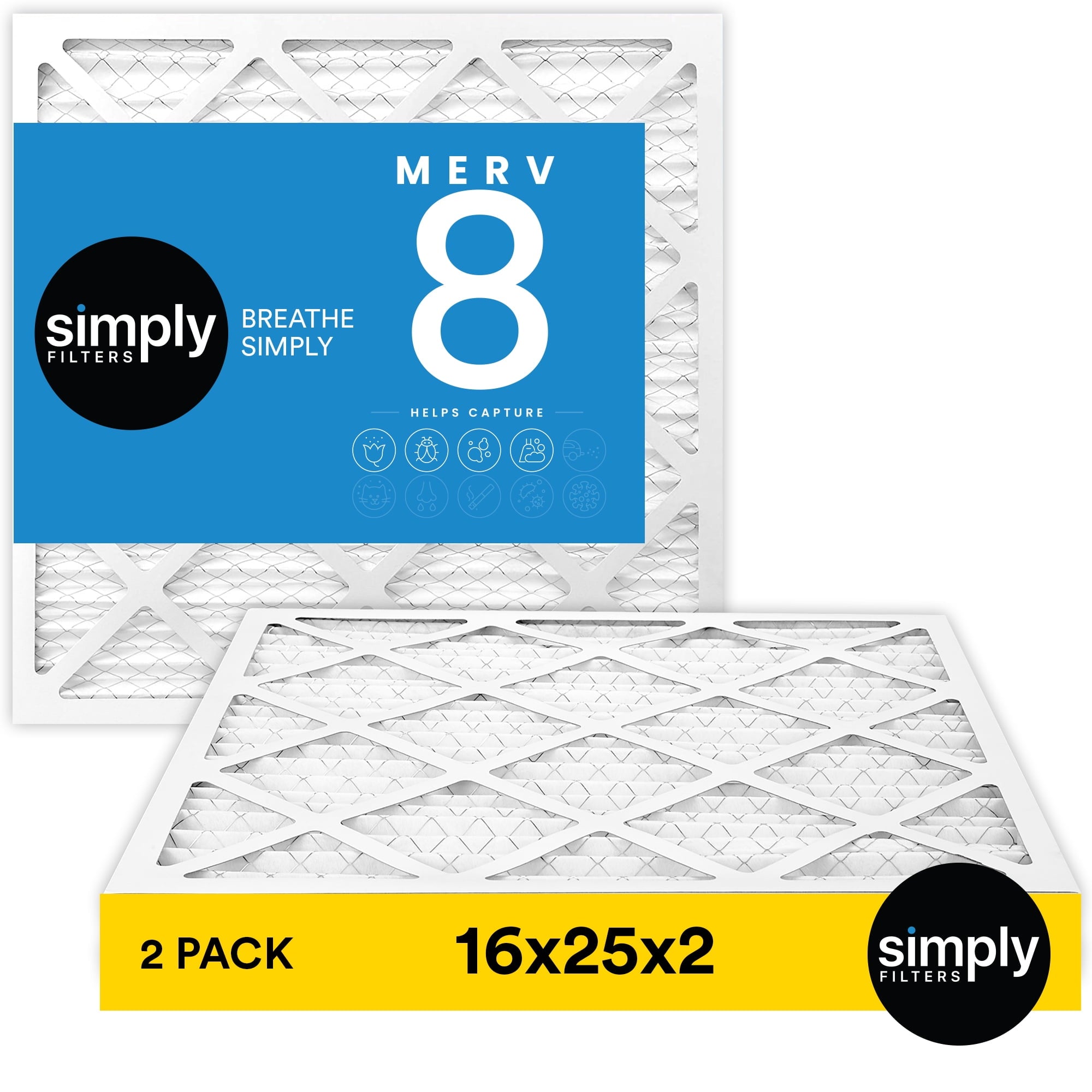 16x25x4 Air Filter